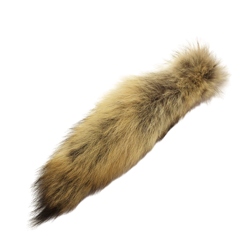 Featured image for “Coyote tail”