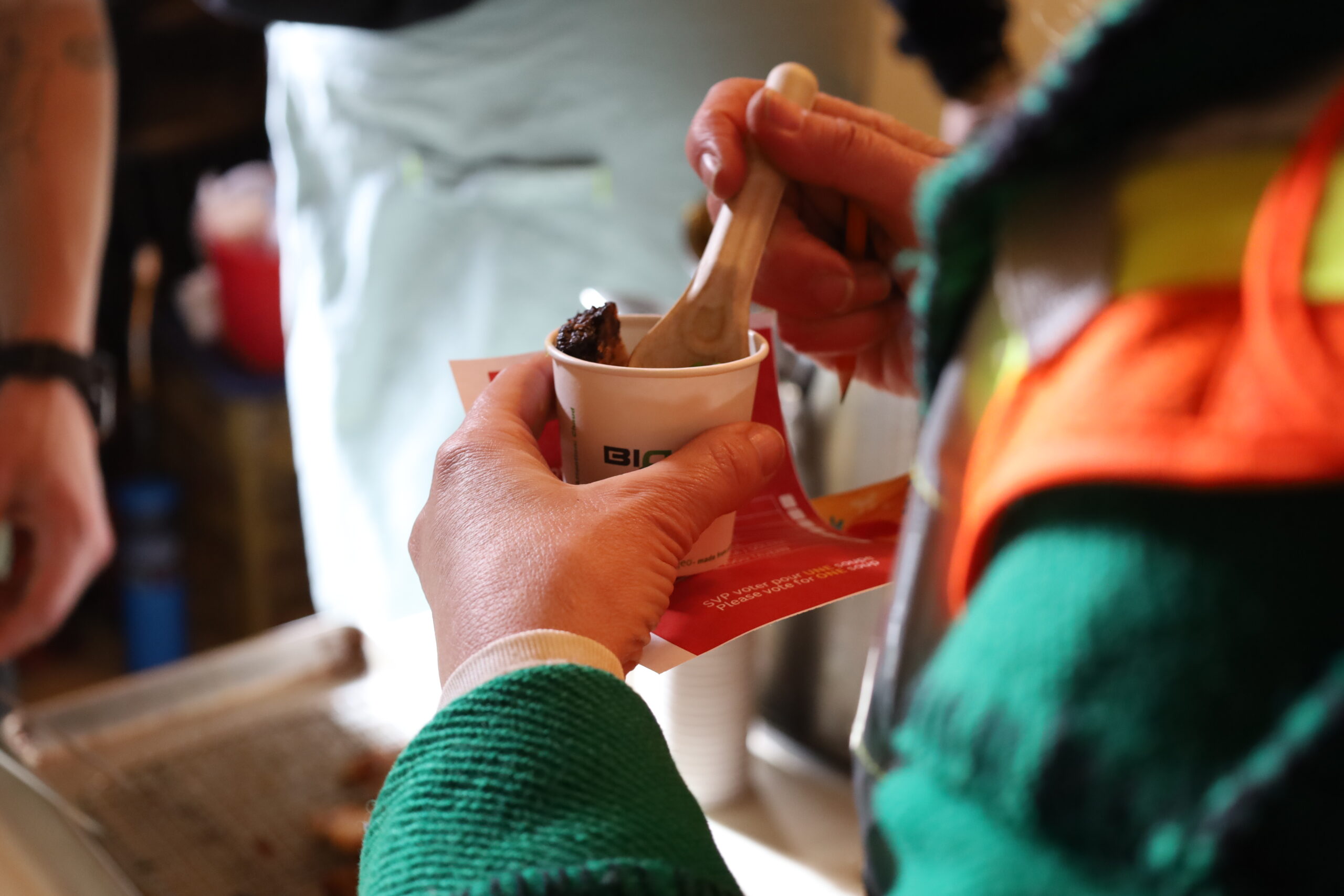 Featured image for “Festival”