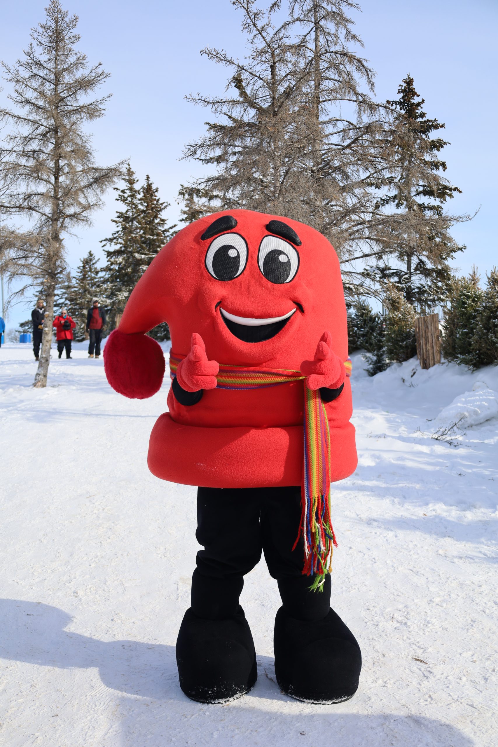 Featured image for “Festival”