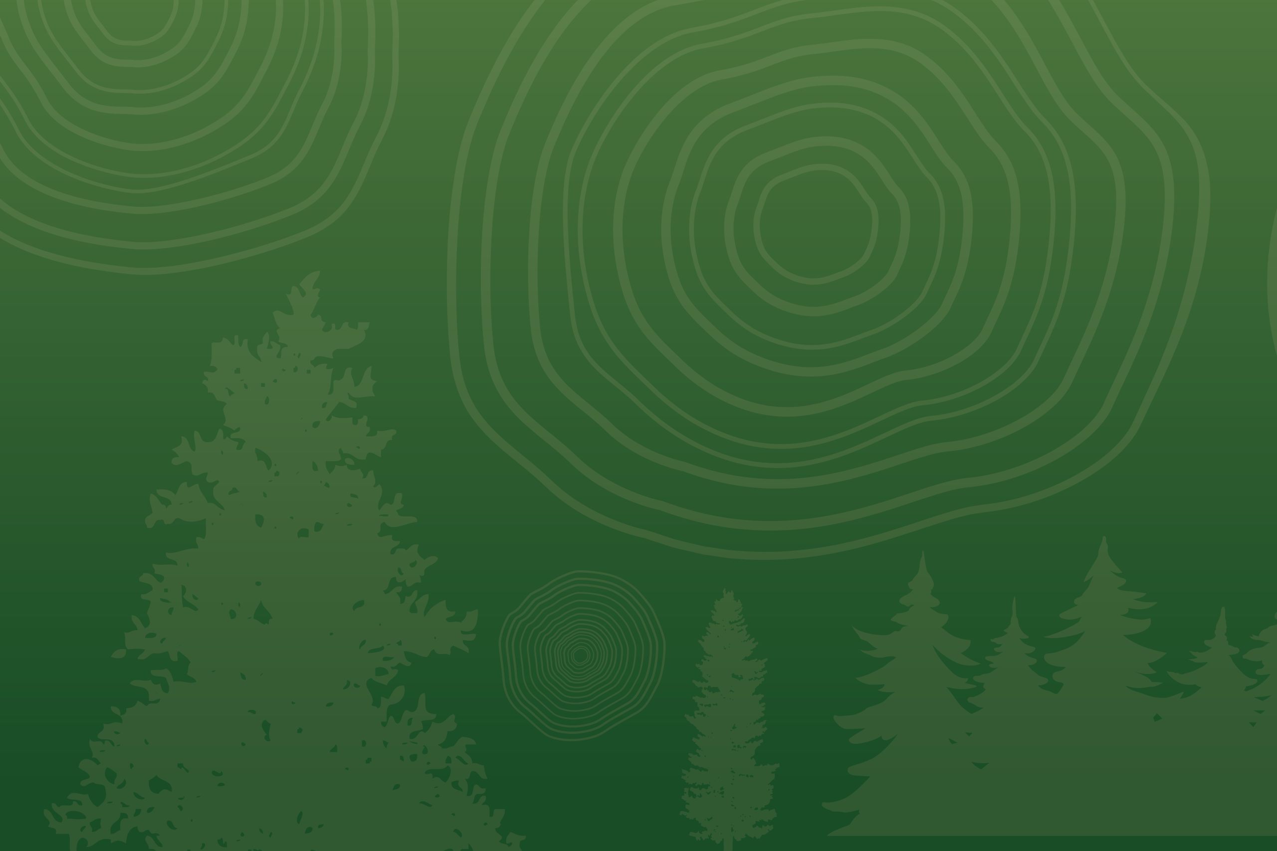 Featured image for “MENU BAR FDV”